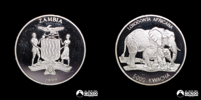 Zambia. 5.000 Kwacha. 1999. Moneda conmemorativa: Vida salvaje africana - Elefan...