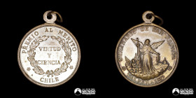 Chile. Condecoracion: Premio al Merito - Seminario de San Rafael.