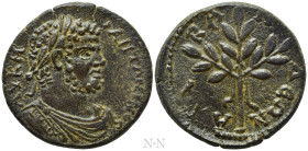 CARIA. Alabanda. Caracalla (198-217). Ae