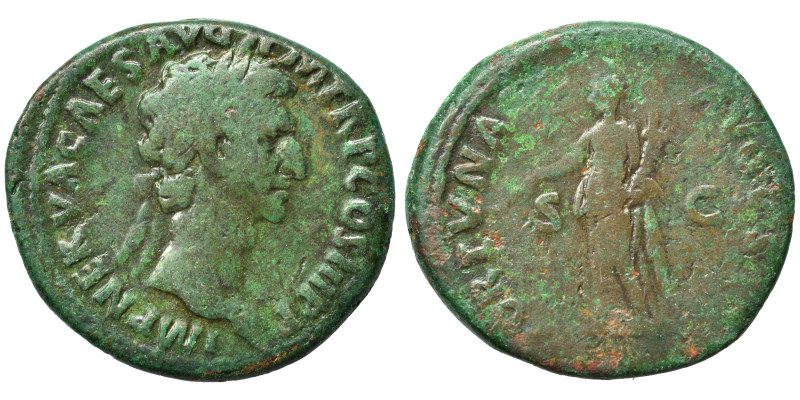 Nerva, 96-98. As (bronze, 11.08 g, 28 mm), Rome. IMP NERVA CAES AVG P M TR P COS...