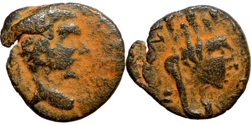 Macrinus. (217-218 AD). Æ Bronze. Mesopotamia. Carrhae. Obv: laureate and draped...