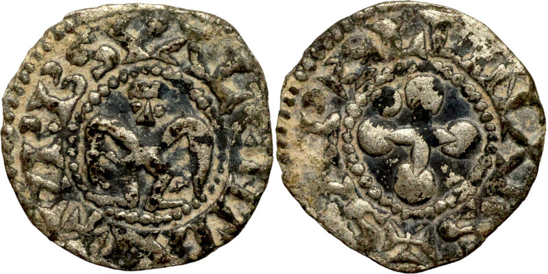 Medieval coin

18mm 1,08g