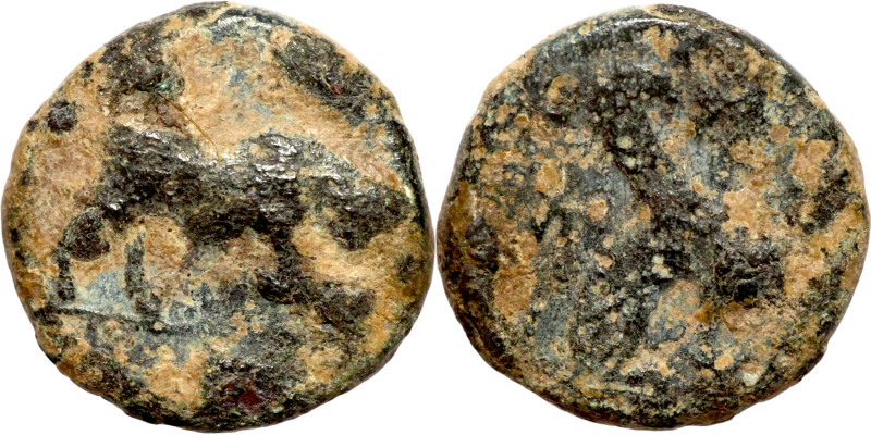 Antik coin bronze

10mm 1,35g

Artificial sand patina