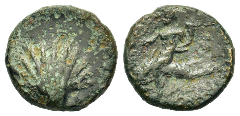 Italy. Southern Apulia. Tarentum, c. 275-200 BC. Æ (14,2mm, 2.4g). Shell. R/ Pha...
