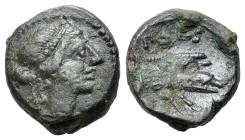 Italy, Northern Lucania, Paestum, 218-201 BC. Æ Sextans (14.5mm, 2.74g, 12h). Female head r. R/ Forepart of boar r. Crawford, Paestum 12/1; HNItaly 12...