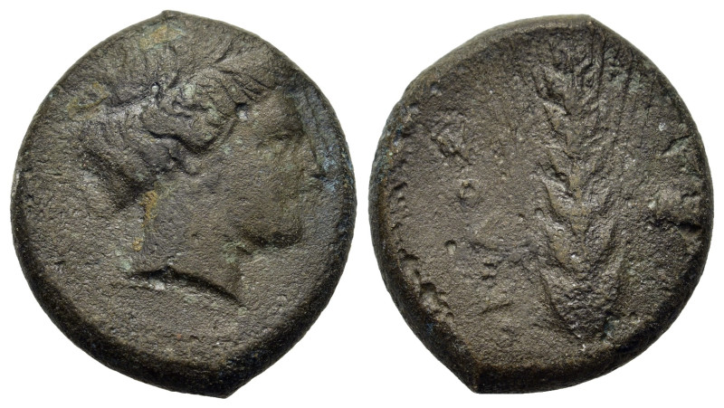 Italy. Southern Lucania. Metapontion, c. 425-350 BC. Æ Obol (20mm, 6.7g). Wreath...