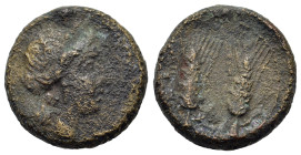 Italy. Southern Lucania, Metapontion, c. 225-200 BC. Æ (17mm, 5.2g). Wreathed head of Demeter r. R/ Two barley ears. Johnston 79; HNItaly 1715.