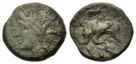 Italy. Southern Lucania. Thourioi, c. 280-213 BC. Æ (17,5mm, 3.9g). Head of Demeter l. R/ Bull charging l.; IΣTI above; in exergue, fish l. HNItaly 19...