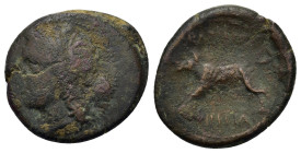 Sicily, Akragas. Phintias (287-279 BC). Æ (22mm, 6.50g). c. 282-279 BC. Wreathed head of Apollo l. R/ Boar standing l. CNS I, 117; SNG ANS 1119-21; HG...