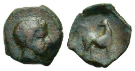 Sicily, Eryx, c. 412-409 BC. Æ Onkia (13,3mm, 1.6g). Male head r. R/ Hound standing right, head reverted. Campana 39.