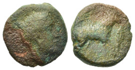 Sicily. Eryx, c. 400-340 BC. Æ Onkia (15mm, 3.5g). Female head (Aphrodite?) r. R/ Donkey standing r. HGC 2, 325; CNS I 16; Campana 48.