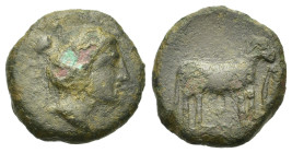 Sicily. Eryx, c. 400-340 BC. Æ Onkia (16,4mm, 3.4g). Female head (Aphrodite?) r. R/ Donkey standing r. HGC 2, 325; CNS I 16; Campana 48.