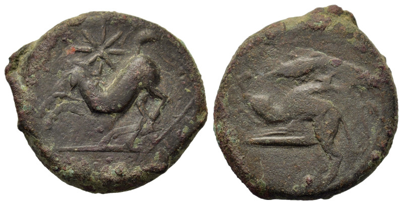 Sicily, Kainon, c. 360-340 BC. Æ (21mm, 9g). Griffin springing to left, grasshop...