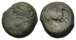 Zeugitania, Carthage, c. 400-350 BC. Æ (14,2mm, 5g). Uncertain mint in Sicily or Carthage. Wreathed male head to left, wearing earrings. R/ Horse gall...