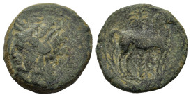 Zeugitania, Carthage, c. 400-350 BC. Æ (16mm, 2.6g). Wreathed head of Tanit l. R/ Horse standing r. before palm tree. MAA 18; SNG Copenhagen 109-19.