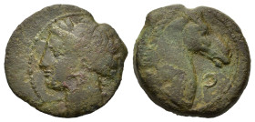 Zeugitania, Carthage, c. 300-264 BC. Æ (19,3mm, 4g). Carthage mint. Wreathed head of Tanit left. R/ Head of horse right; large pellet to right. CNP 25...