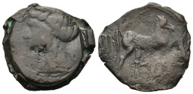 Zeugitania, Carthage. First Punic War (264-241 BC). Æ Shekel (24,4mm, 8.4). Sardinian mint. Wreathed head of Tanit l. R/ Horse standing right; Punic š...