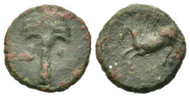 The Carthaginians in the Mediterranean. Uncertain Sicilian mint, c. 340-320 BC. Æ (15,4mm, 3.3g). Palm between two pellets, Rv. Pegasus flying l.; bel...