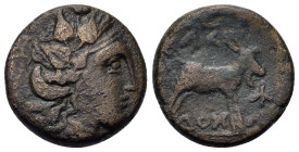 Macedon, Amphaxitis. Time of last kings 221-168 BC. Æ (20mm, 7.70g.). Head of Dionysus right. R/Μ Α Κ Ε Δ Ο Ν Ω Ν Goat standing right and Amphaxitis m...