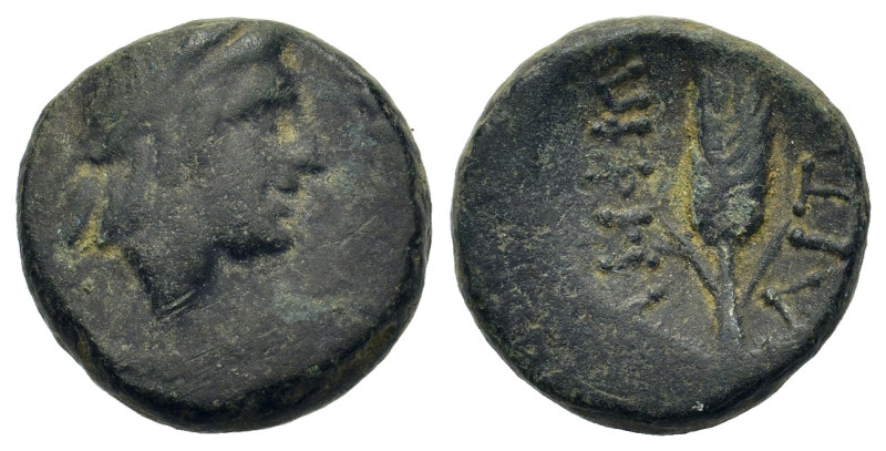 Macedon, Amphipolis, c. 187-31 BC. Æ (15,5mm. 4,35g). Laureate head of Apollo r....