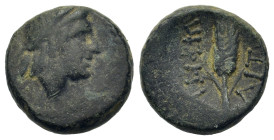 Macedon, Amphipolis, c. 187-31 BC. Æ (15,5mm. 4,35g). Laureate head of Apollo r. R/ Grain ear. SNG Copenhagen 59; BMC 52. VF.