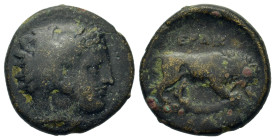 Kings of Macedon, Perdikkas III (365-359 BC). Æ Tetrachalkon (25mm 7,00g). Aigai, c. 365-359 BC. Head of Herakles to right, wearing lion skin headdres...