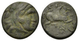 Kings of Macedon. Antigonos II Gonatas (277/6-239 BC). Æ Unit (17mm, 4.60 g). Head of Herakles right, wearing lion skin. R/ B A Horseman riding right;...