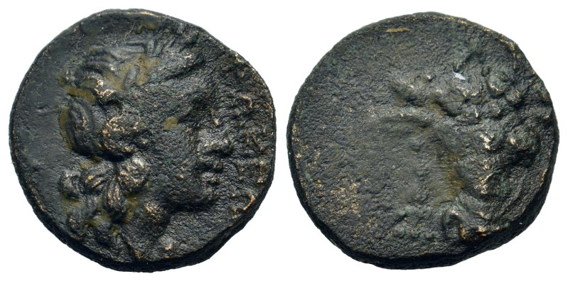 Phokis, Lilaia, c. 4th-3rd centuries BC. Æ (15,7mm, 3.7g). Facing head of bull, ...