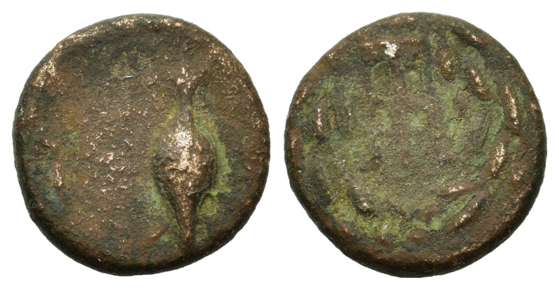 Uncertain Greek. Æ (13,3mm, 2g). Barley grain R/ Laurel wreath.