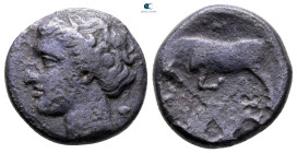 Sicily. Syracuse. Hieron II 275-215 BC. Bronze Æ