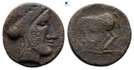 Thessaly. Larissa circa 380-337 BC. Bronze Æ