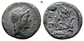 Aiolis. Elaia circa 200 BC. Bronze Æ