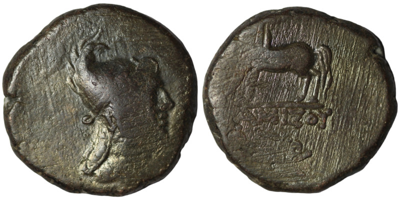 Pontos. Amisos. Mithridates VI. (85-65 BC). Bronze Æ. Obv: head of Mithridates V...