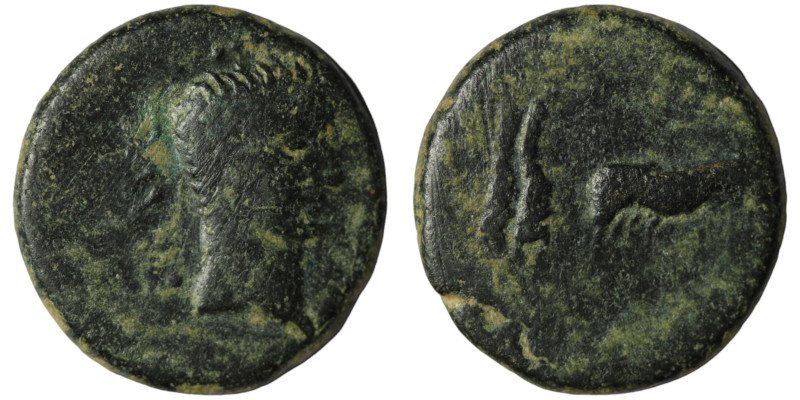 Augustus. (27 BC - 14 AD) Bronze Æ. Berytos. Phoenicia. Obv: draped bust of Augu...