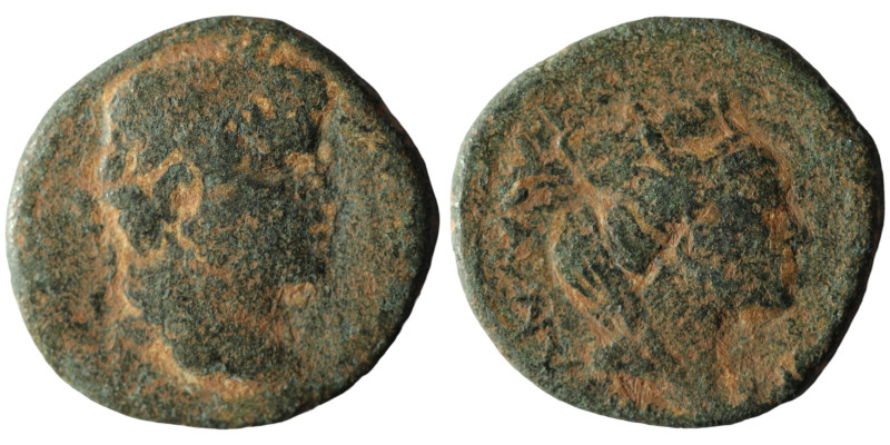 Caracalla. (198-217 AD). Æ Bronze. Mesopotamia. Carrhae. Obv: laureate and drape...