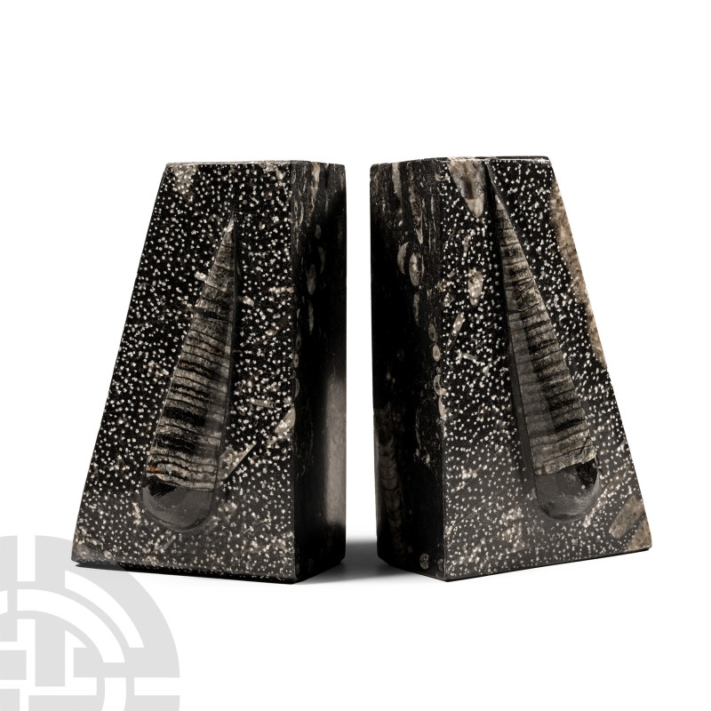 Devonian Period, circa 417-354 million years B.P.. A pair of bookends formed fro...