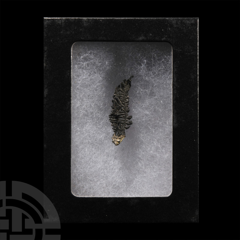 Displaying dendritic formation, collection number 554. 1.15 grams, 30 mm (1 1/4 ...