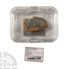 Natural History - Diogenite NWA 4664 Meteorite Slice
