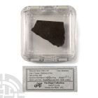 Natural History - Brachinite NWA 3151 Meteorite Slice