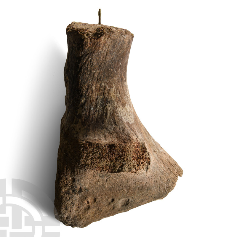 Devensian Period, 110,000-12,000 years B.P.. Fragment of the pelvis with socket;...