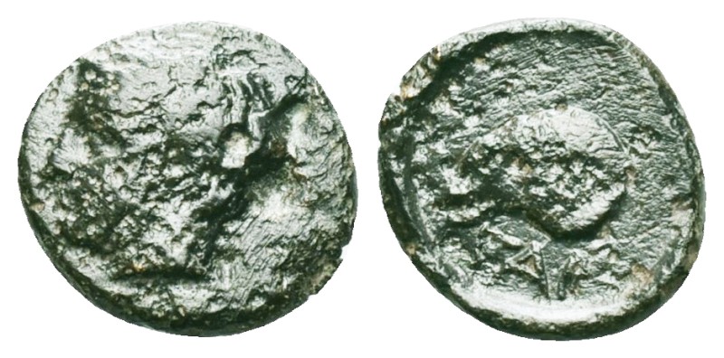 Greek Coins
TROAS. Gargara. Ae (4th century BC). Obv: Laureate head of Apollo l...