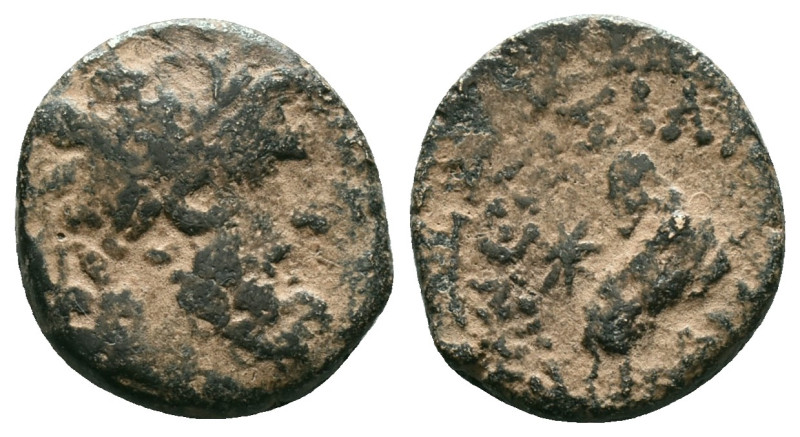 Greek Coins
Seleukid Kingdom. Antioch on the Orontes, AD 11-17. AE . Laureate h...