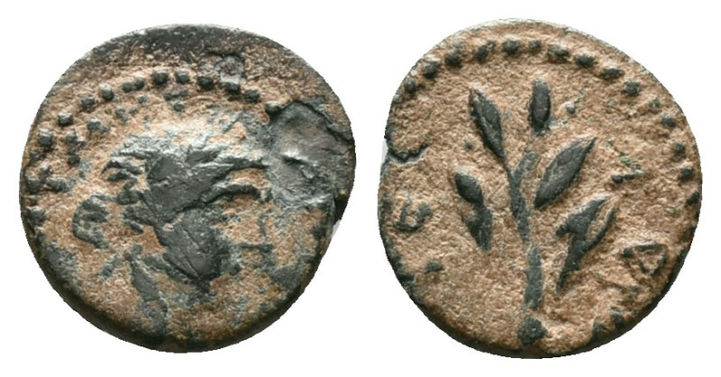 Greek Coins. 4th - 1st century B.C. AE

Reference :
Condition: Repatinated. V...