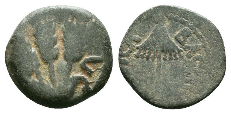 Judeaen
Judaea. Herodians. Agrippa I Æ Prutah. Jerusalem, dated RY 6 = 41/2 CE....