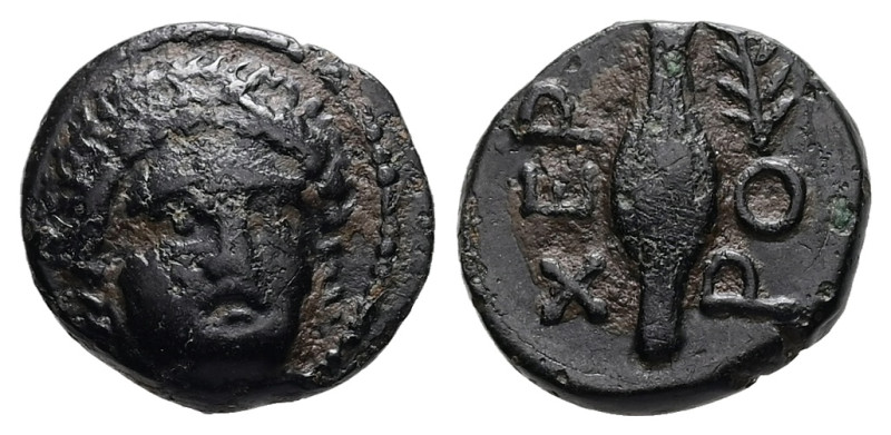 Thrace, Chersonesos. Ae, 1.23 g 10.97 mm. Circa 386-309 BC.
Obv: Head of Perseph...