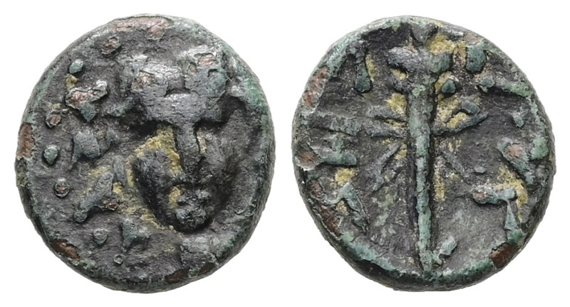 Thrace. Sestos. Ae, 1.06 g 10.46 mm. Late 2nd century BC.
Obv: Head of Dionysos ...