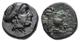 Troas, Larissa-Ptolemais. Ae, 1.38 g 10.19 mm. Circa 3rd century BC.
Obv: Female head right
Rev: Amphora; ΛΑ-ΡΙ across lower fields, kerykeion to left...