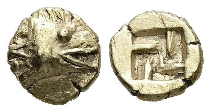 Mysia, Kyzikos. EL 1/24 Stater, 0.64 g 7.50 mm. Circa 600-550 BC.
Obv: Head of t...