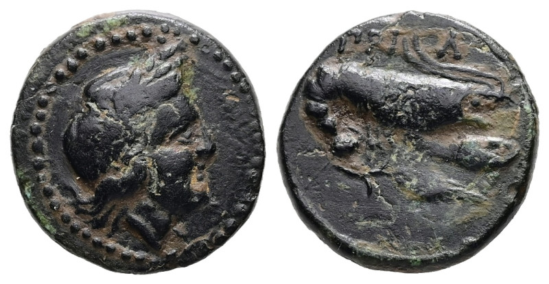 Mysia, Priapos. Ae, 2.08 g 14.54 mm. 4th-3rd centuries BC.
Obv: Laureate head of...