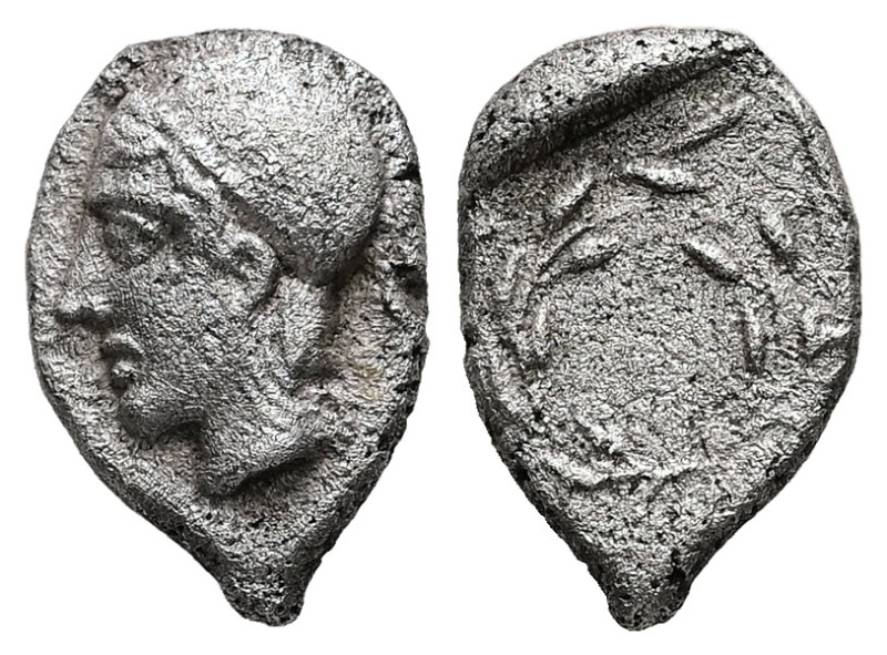 Aeolis, Elaia. AR Diobol, 1.17 g. - 12.65 mm. Circa 450-400 BC.
Obv.: Head of At...